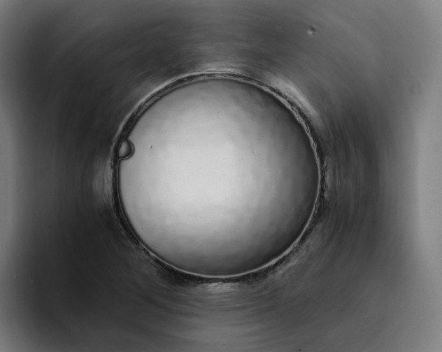 X0000094361268200711162043