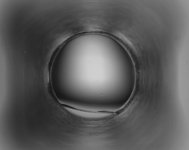 X0000094361269200711162043