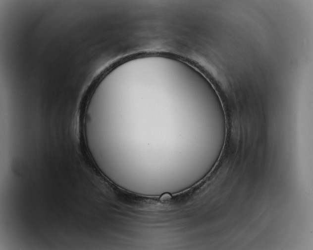 X0000094361270200711162043