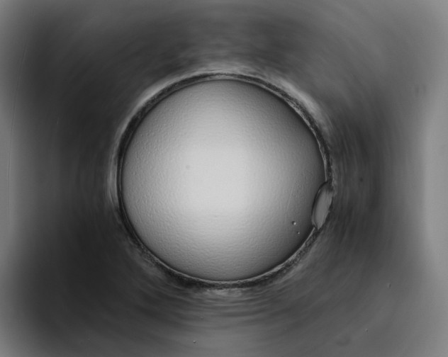 X0000094361272200711162043