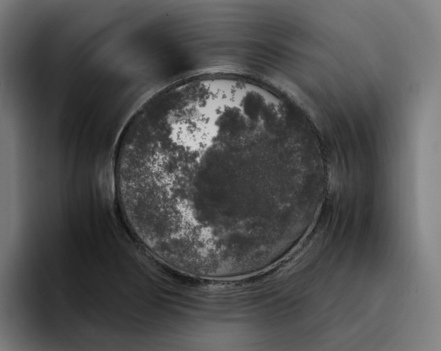 X0000094361274200711162043