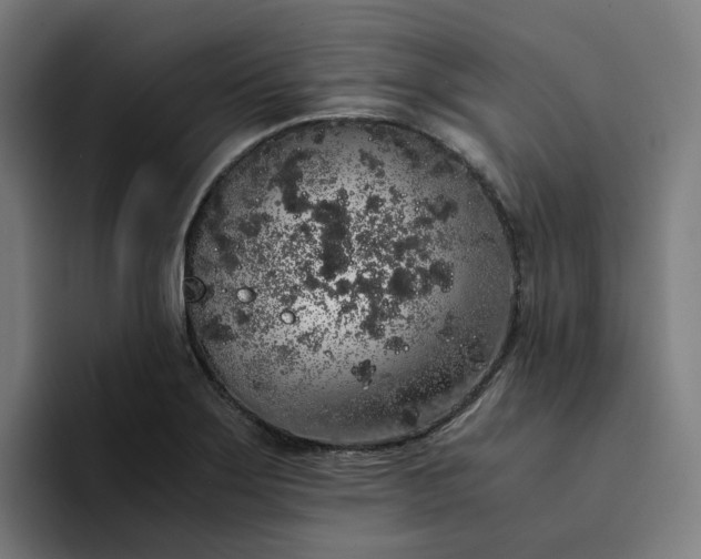 X0000094361275200711162043