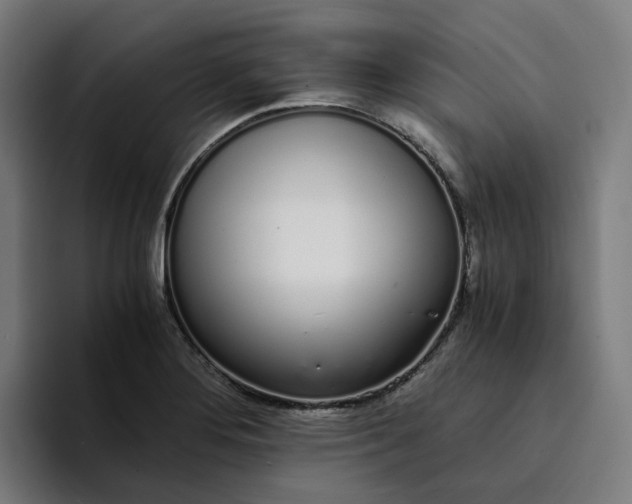 X0000094361276200711162043