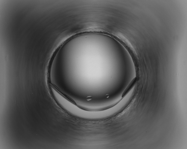 X0000094361277200711162043