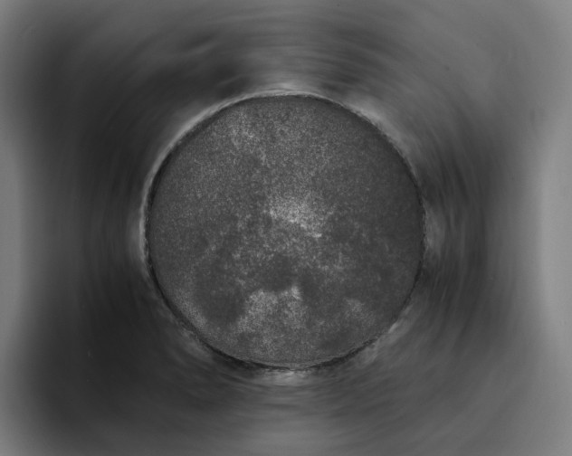 X0000094361278200711162043