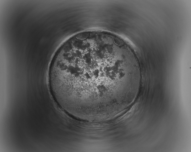 X0000094361279200711162043