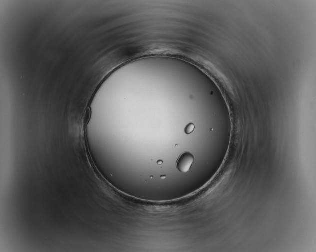 X0000094361281200711162043