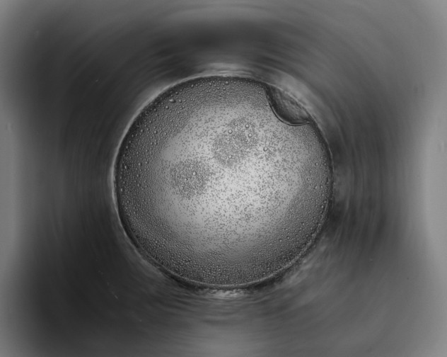 X0000094361283200711162043