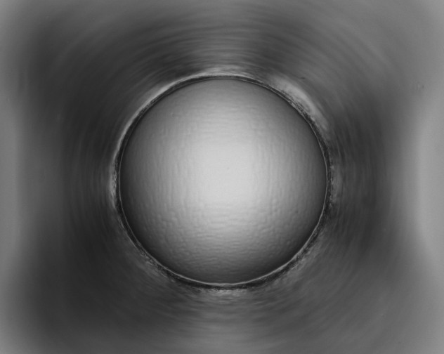 X0000094361284200711162043