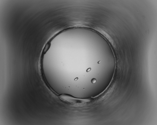 X0000094361285200711162043