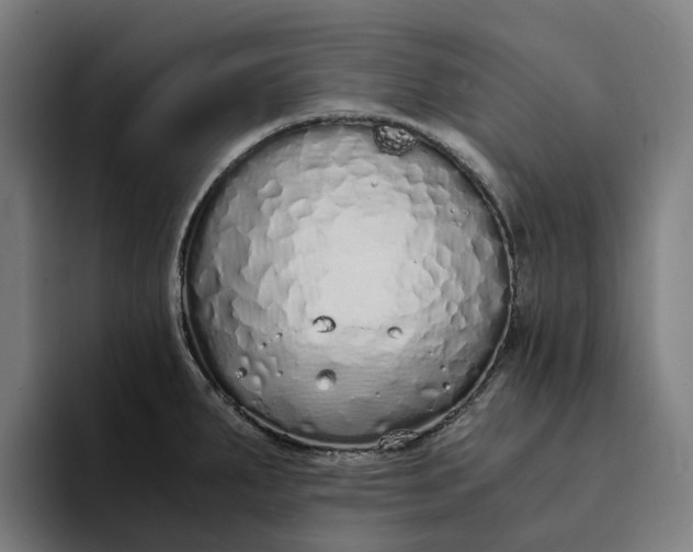 X0000094361287200711162043