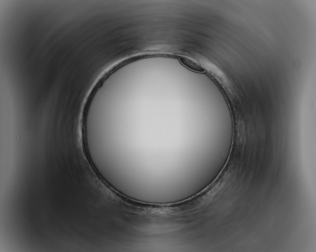 X0000094361288200711162043