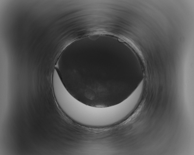 X0000094361289200711162043