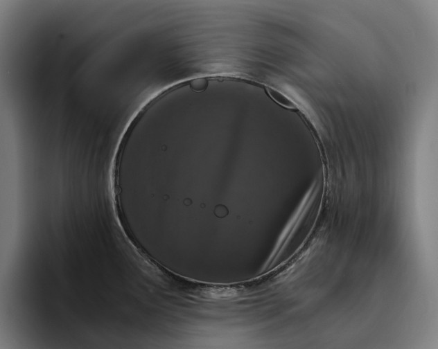 X0000094361291200711162043