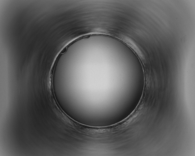 X0000094361292200711162043