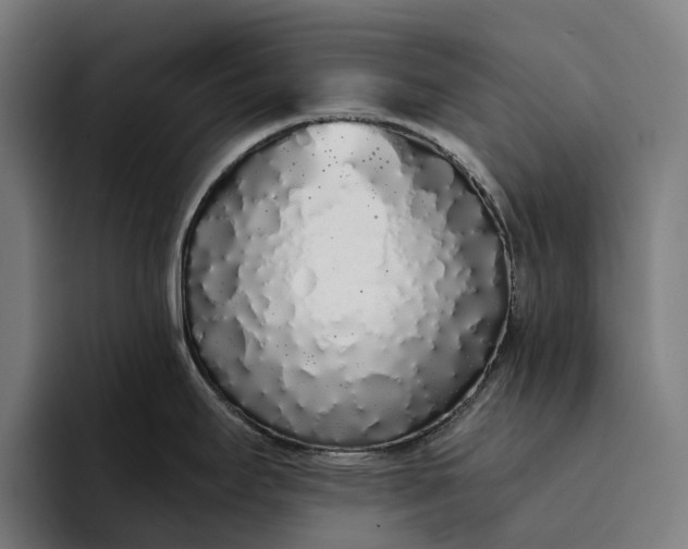 X0000094361295200711162043