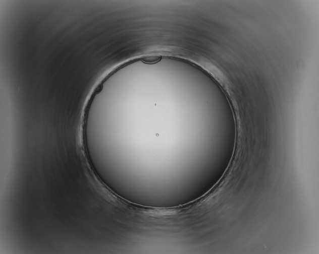 X0000094361296200711162043