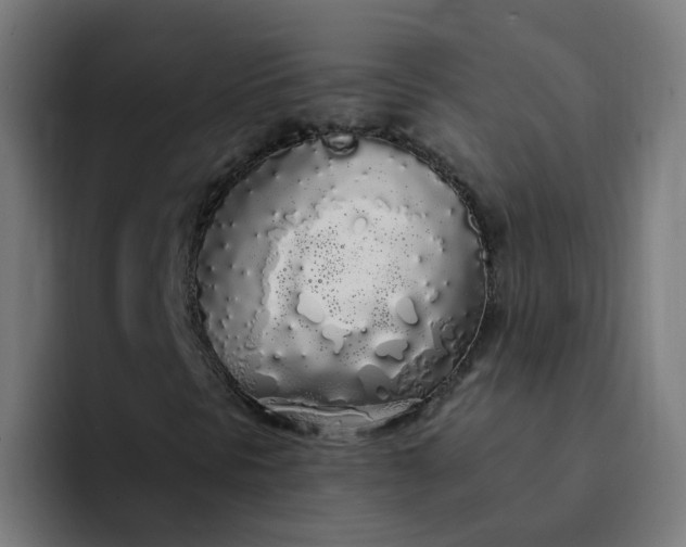 X0000094361297200711162042