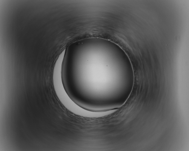 X0000094361298200711162042