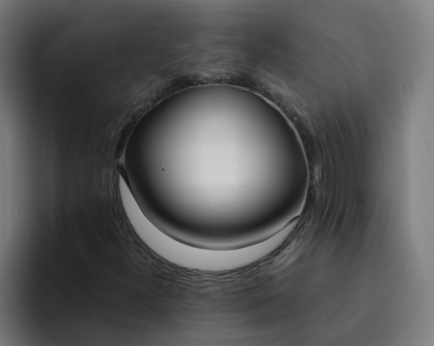 X0000094361300200711162042