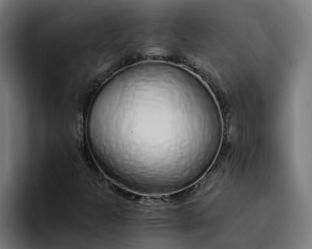 X0000094361301200711162042