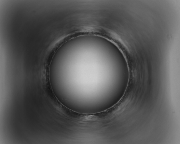 X0000094361304200711162042