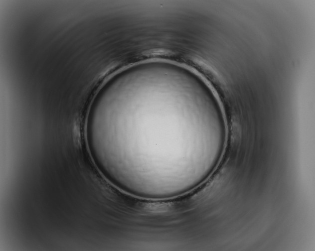 X0000094361305200711162042