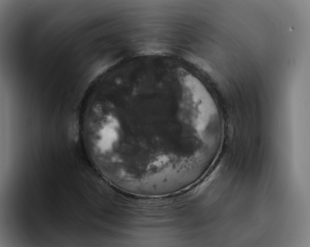 X0000094361306200711162042