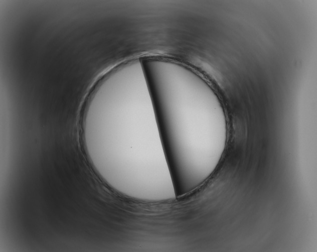 X0000094361308200711162042