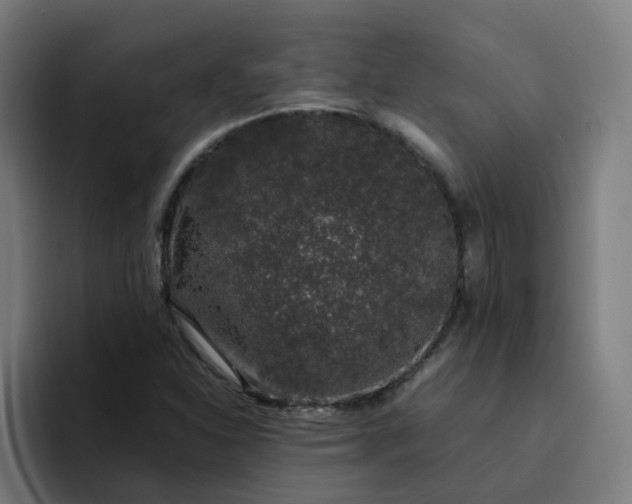 X0000094361310200711162042