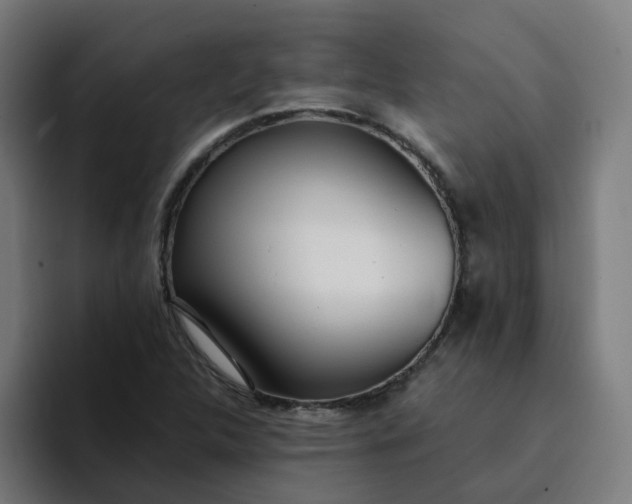 X0000094361312200711162042