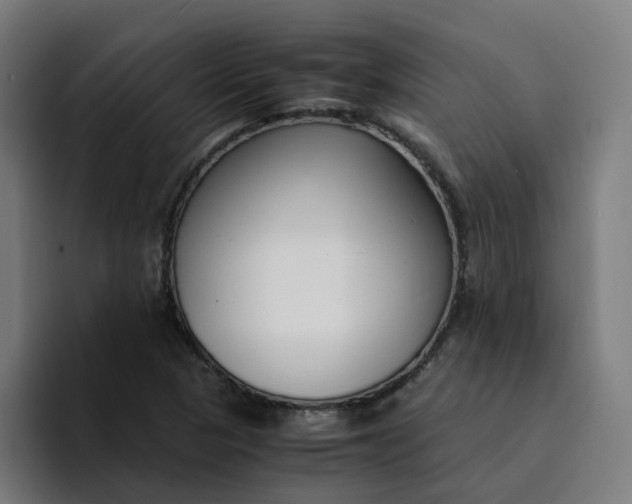 X0000094361313200711162042