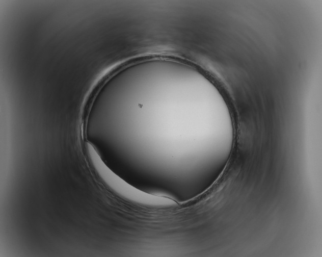 X0000094361320200711162042