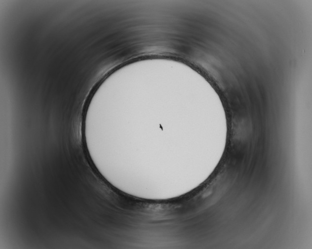 X0000094361322200711162042