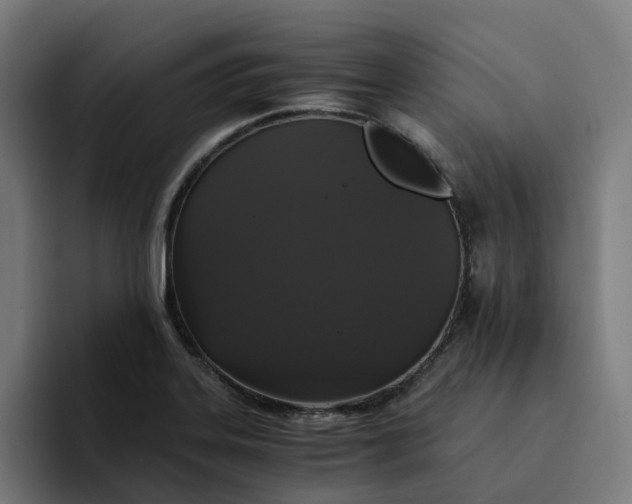 X0000094361323200711162042