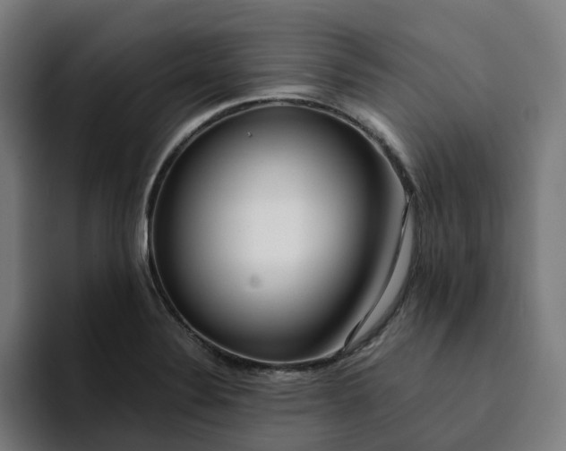 X0000094361324200711162042