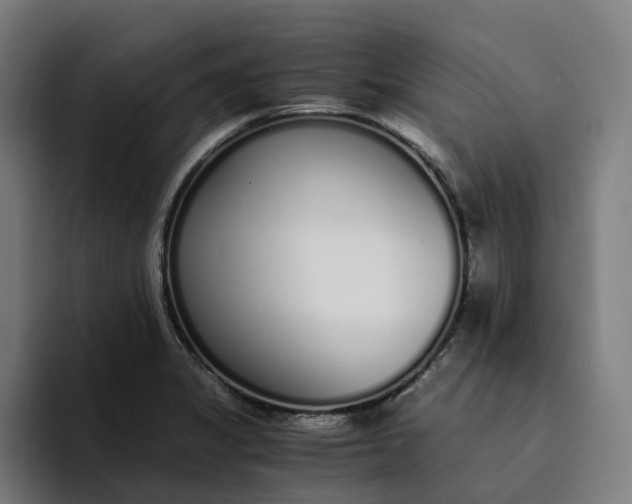 X0000094361325200711162042