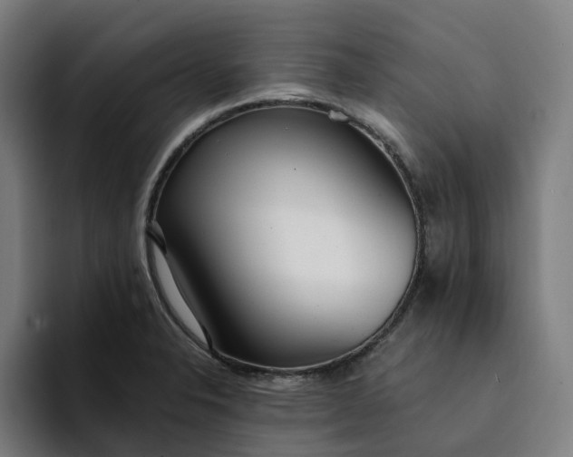 X0000094361326200711162042