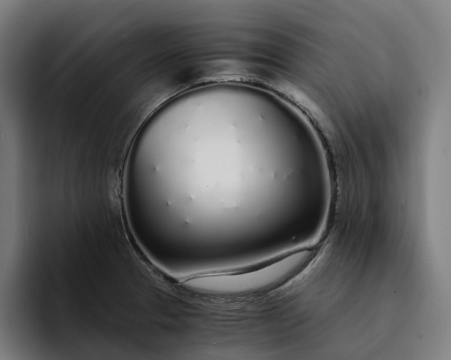 X0000094361329200711162042