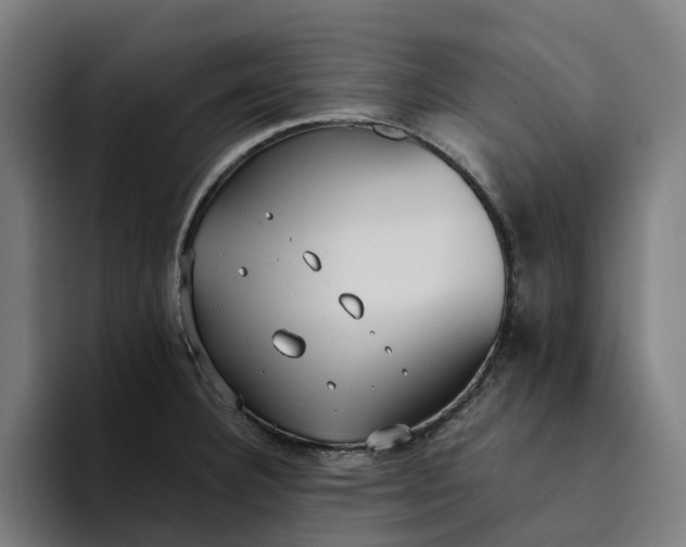 X0000094361332200711162042