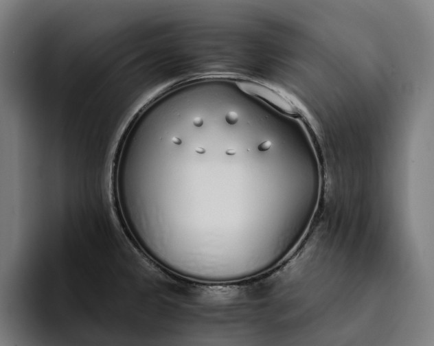 X0000094361333200711162042