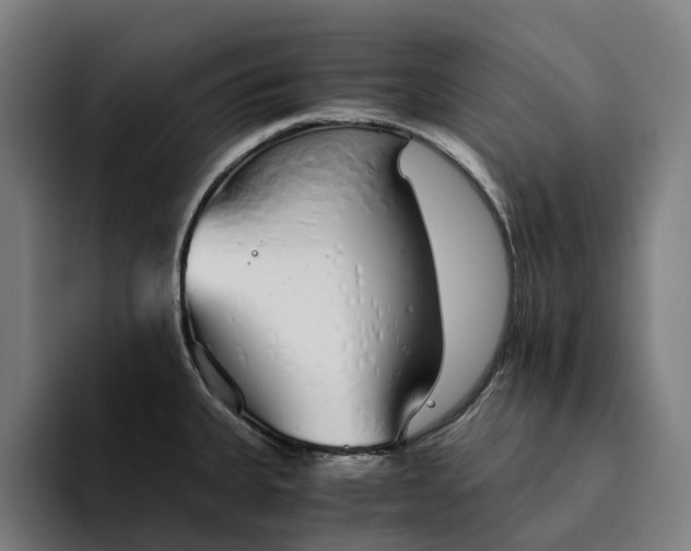 X0000094361335200711162043