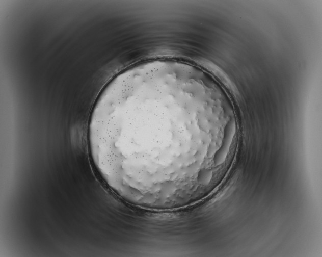 X0000094361337200711162043