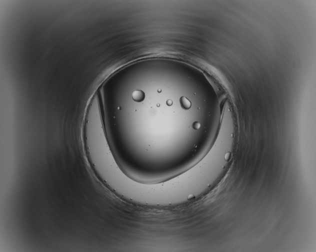 X0000094361338200711162043