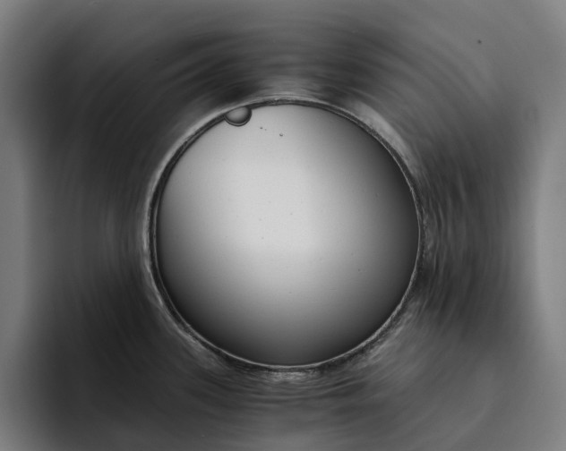 X0000094361339200711162043