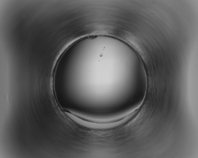 X0000094361340200711162043