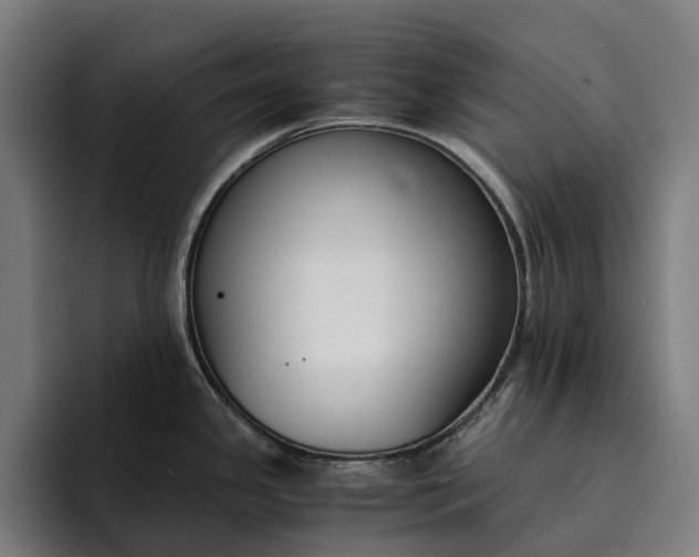 X0000094361341200711162043