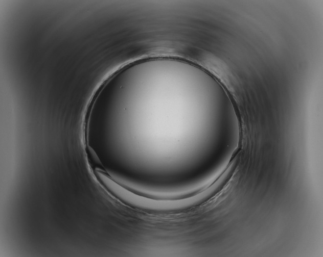 X0000094361342200711162043