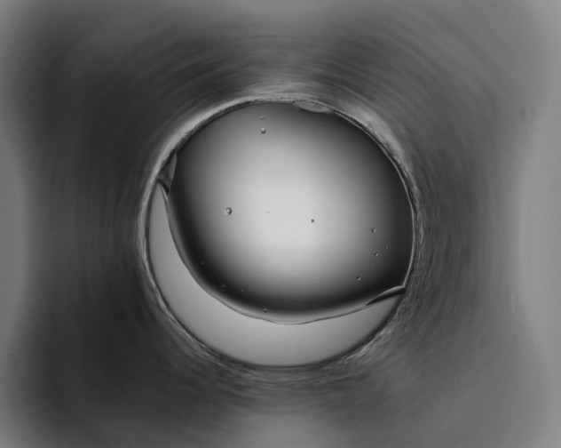 X0000094361344200711162043