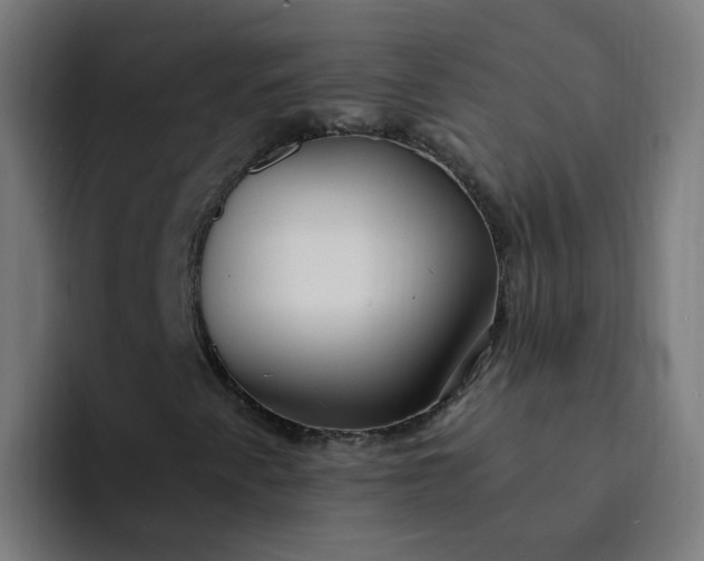 X0000094361345200711162042